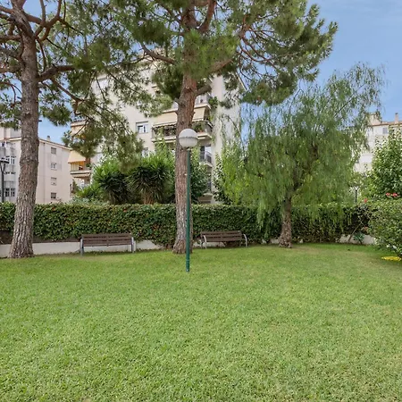 Oasis * סיטגס