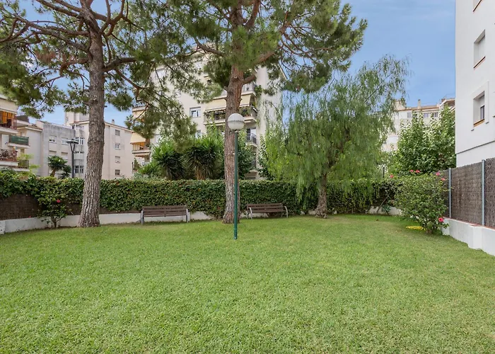 Oasis * Σίτζες